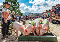 Bauernmarkt Urnäsch mit Alpabfahrt
