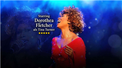 Simply the Best - Die Tina Turner Story