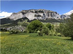 Geologische und geschichtliche Wanderung im Uraltbuchenwald