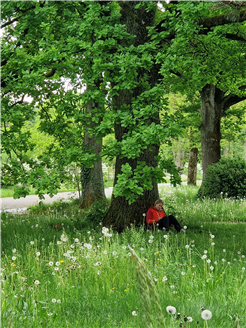 Shinrin Yoku / Waldbaden im Lärchenwald bei Scuol im Engadin
