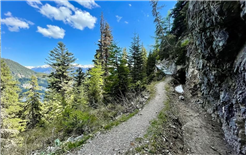 Rousses Backyard Ultra