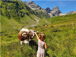 agrischa - Erlebnis Landwirtschaft Zernez