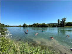 Rheinschwimmen 2026