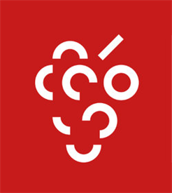 Vereinspräsidienkonferenz