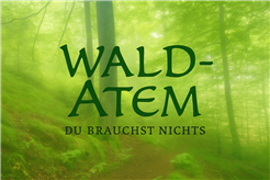 Singkreis im Smaragd Solothurn – Lieder für Herz & Erde