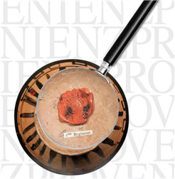 Curriculum Vitae of Objects