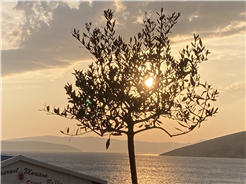 Trauercafé - Kath. Pfarreizentrum