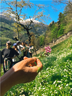 Yoga & Wildkräuter im Valposchiavo