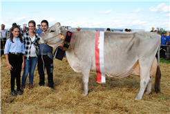 Bezirksviehausstellung March