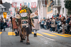21. Entlebucher Alpabfahrt
