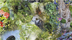 Zehn Leben – Die Geschichte einer Stadt