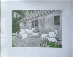 Bauernhof - Bergwelt - Bleistift