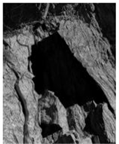 Manoir de la Ville : Pedro Rodrigues - Control of Natural Space [DE]