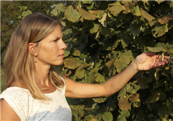 Selbsterziehung zur Gesundheit & Ökologie