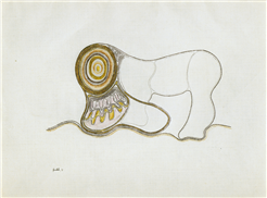 Fokus. Hans Fischli (1909–1989)