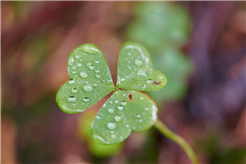 Workshop Grundlagen der Fotografie