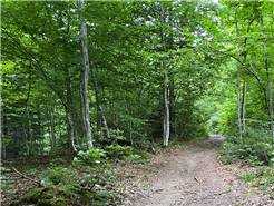 Freiluft-Vortrag «Ohne Pilze kein Wald»