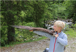Exkursion: Im Reich der Steinadler
