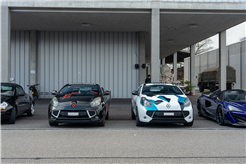 French Cars-Treffen