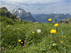 Themenwanderung Schwarzstöckli - Natur erleben – Erdgeschichte (be)greifen