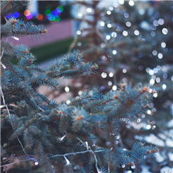 Altdorfer Christkindlimarkt