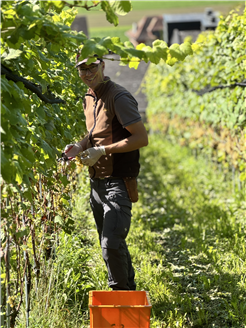 Weinlounge Erlebnisweingut Burkhart