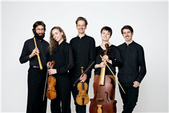 Musica Transalpina