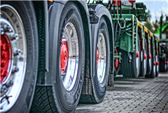 Diemtigtaler Trucktreff auf der Grimmialp