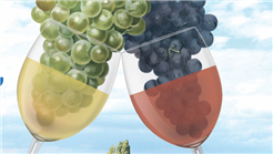 28. Weinfest Berlingen
