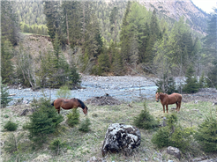 Westerncamps für Teenies