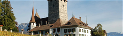 Rebberg Gottesdienst