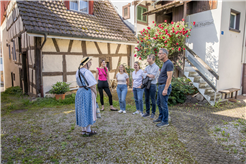Hallauer Gässliwanderung