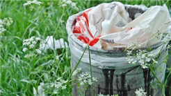Nationaler Clean Up Day 2026