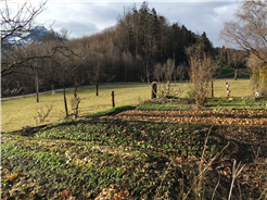 Permakultur Gartenkurs im Herbst