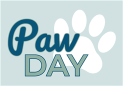 PawDAY - Der Hundemarkt für dich & deinen Vierbeiner