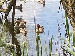 Ornithologische Exkursion Sackmatten bei Grenchen