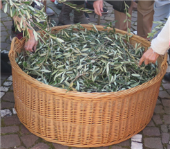Familiengottesdienst - Palmsonntag