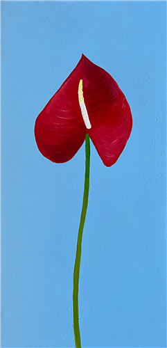 Anthurium: Transmutations