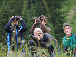 Exkursion: Steinbock, Adler, Gämse und Co.