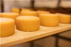 Käsekurs