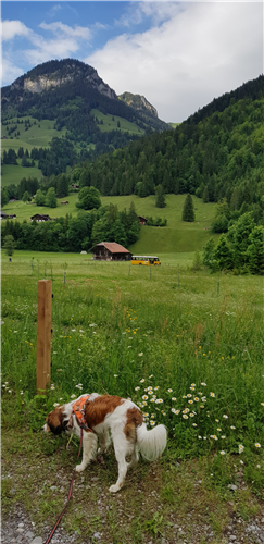 Unterwegs auf dem Guggerwäg Kiental