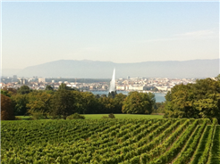 Brunch du 1er août: Domaine de la Vigne Blanche