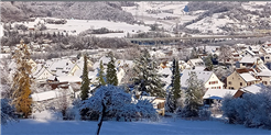 Ein Dorf blüht auf - 800 Johr Ütige
