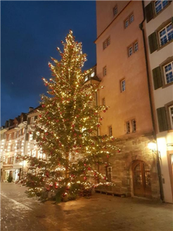 Öffentliche Weihnachtsführung