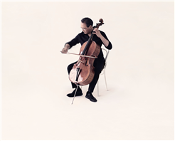 Summer-Festival: West Eastern Divan Orchestra