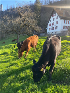 Brunch du 1er août: Ferme & Restaurant du Vorbourg