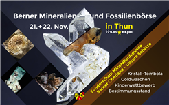 Berner Mineralien- und Fossilienbörse in Thun