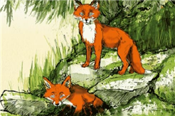 Gschichtefahrt: Fay und Finn