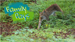 Family Days