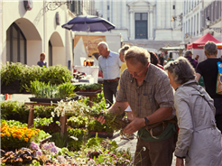Gemüsemarkt / Wochenmarkt Altstadt Solothurn (27.06.2026: Schanzenplatz)